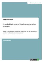 Feindlichkeit gegenüber homosexuellen Männern