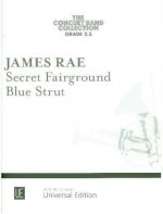 Secret Fairground - Blue Strut