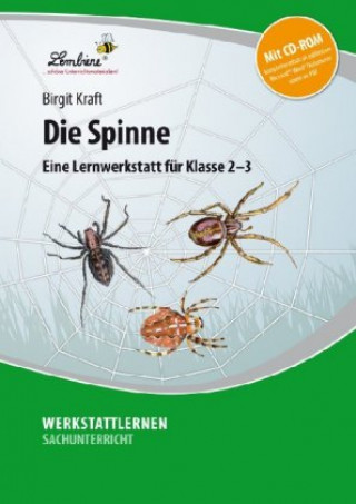 Die Spinne