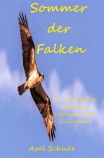 Sommer der Falken
