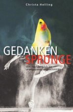 Gedankensprünge