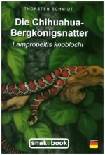 Die Chihuahua-Bergkönigsnatter