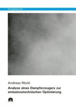 Analyse eines Dampferzeugers zur emissionstechnischen Optimierung