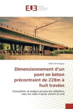 Dimensionnement d'un pont en béton précontraint de 228m à huit travées