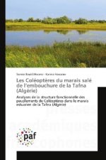 Les Coléoptères du marais salé de l'embouchure de la Tafna (Algérie)