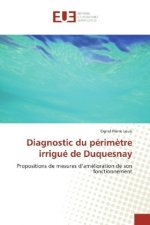 Diagnostic du périmètre irrigué de Duquesnay