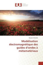 Modélisation électromagnétique des guides d'ondes à métamatériaux