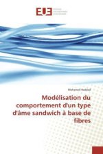Modélisation du comportement d'un type d'âme sandwich à base de fibres