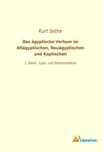 Das ägyptische Verbum im Altägyptischen, Neuägyptischen und Koptischen