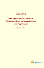 Das ägyptische Verbum im Altägyptischen, Neuägyptischen und Koptischen