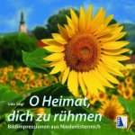 O Heimat, Dich zu rühmen