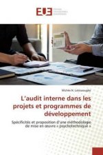 L'audit interne dans les projets et programmes de développement