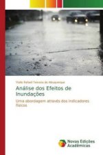 Analise dos Efeitos de Inundacoes