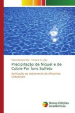 Precipitacao de Niquel e de Cobre Por Ions Sulfeto