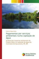 Pagamentos por servicos ambientais numa captacao de agua