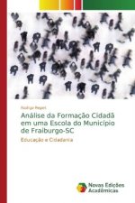 Analise da Formacao Cidada em uma Escola do Municipio de Fraiburgo-SC