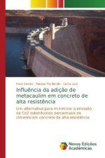 Influencia da adicao de metacaulim em concreto de alta resistencia