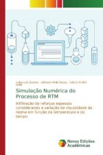 Simulacao Numerica do Processo de RTM