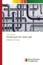 Modelacao de redes gas