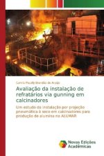 Avaliacao da instalacao de refratarios via gunning em calcinadores