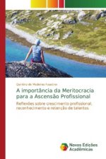 importancia da Meritocracia para a Ascensao Profissional