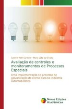 Avaliacao de controles e monitoramentos de Processos Especiais