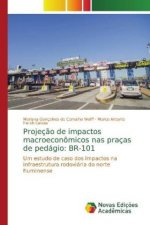 Projecao de impactos macroeconomicos nas pracas de pedagio