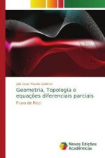 Geometria, Topologia e equacoes diferenciais parciais