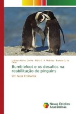 Bumblefoot e os desafios na reabilitacao de pinguins