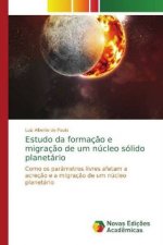 Estudo da formacao e migracao de um nucleo solido planetario