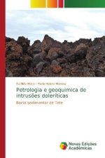 Petrologia e geoquimica de intrusoes doleriticas