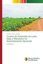 Custos de Producao de Leite, Soja e Mandioca no Assentamento Itamarati