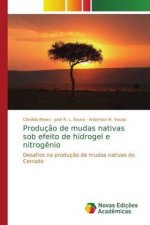 Producao de mudas nativas sob efeito de hidrogel e nitrogenio