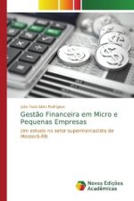 Gestao Financeira em Micro e Pequenas Empresas