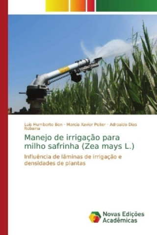 Manejo de irrigacao para milho safrinha (Zea mays L.)