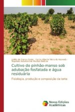 Cultivo do pinhao-manso sob adubacao fosfatada e agua residuaria