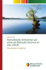 Remediacao Ambiental por meio de Reducao Quimica In-Situ (ISCR)