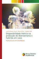 Disponibilidade hidrica na producao de Alstroemeria x hybrida em vaso
