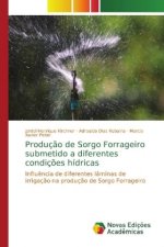 Producao de Sorgo Forrageiro submetido a diferentes condicoes hidricas