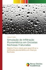 Simulacao de Infiltracao Pluviometrica em Encostas Rochosas Fraturadas