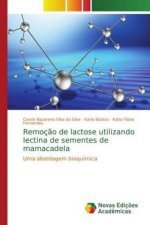 Remocao de lactose utilizando lectina de sementes de mamacadela