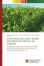 Crescimento do Capim Sudao sob diferentes laminas de irrigacao