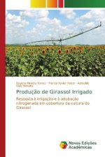 Producao de Girassol Irrigado