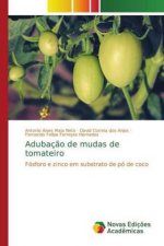 Adubacao de mudas de tomateiro
