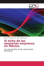 exito de las pequenas empresas en Mexico