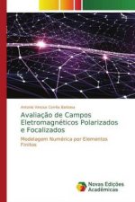 Avaliacao de Campos Eletromagneticos Polarizados e Focalizados