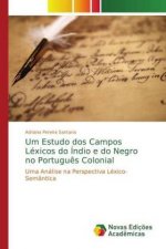 Um Estudo dos Campos Lexicos do Indio e do Negro no Portugues Colonial