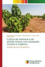 Cultivo da mamona e do pinhao manso com adubacao mineral e organica