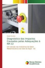Diagnóstico dos Impactos Causados pelas Adequações à NR-12