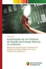 Implantacao de um Sistema de Gestao de Energia Eletrica na Industria